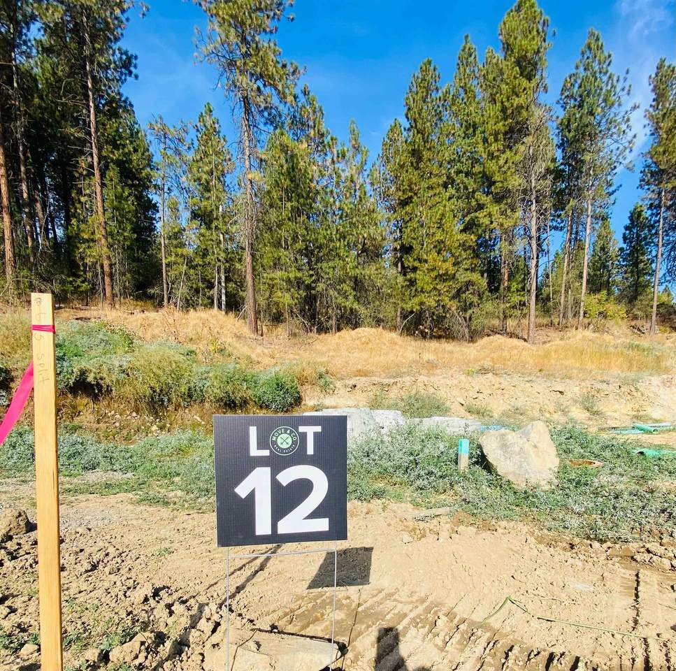 0-Lot 12 Cedar Rd - Photo 1