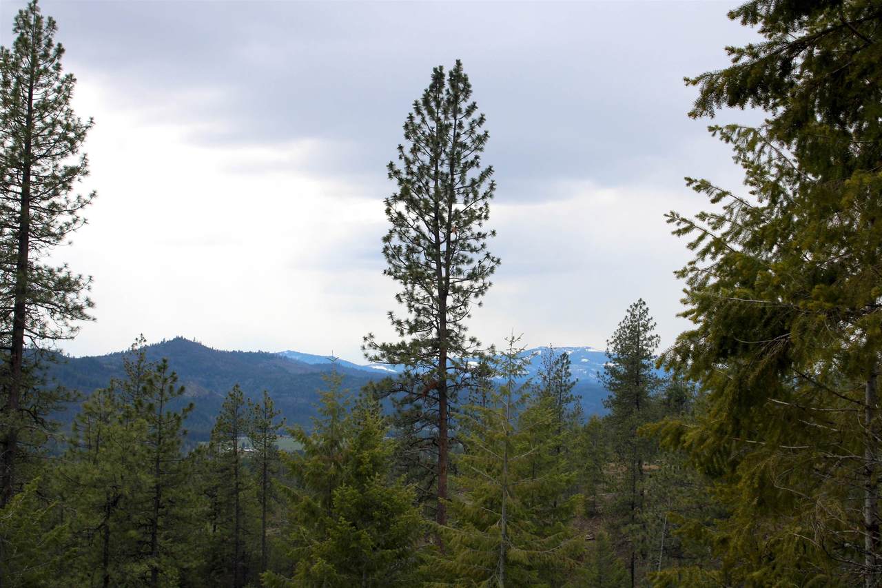 000-Lot 13 Bead Lake Rd - Photo 1