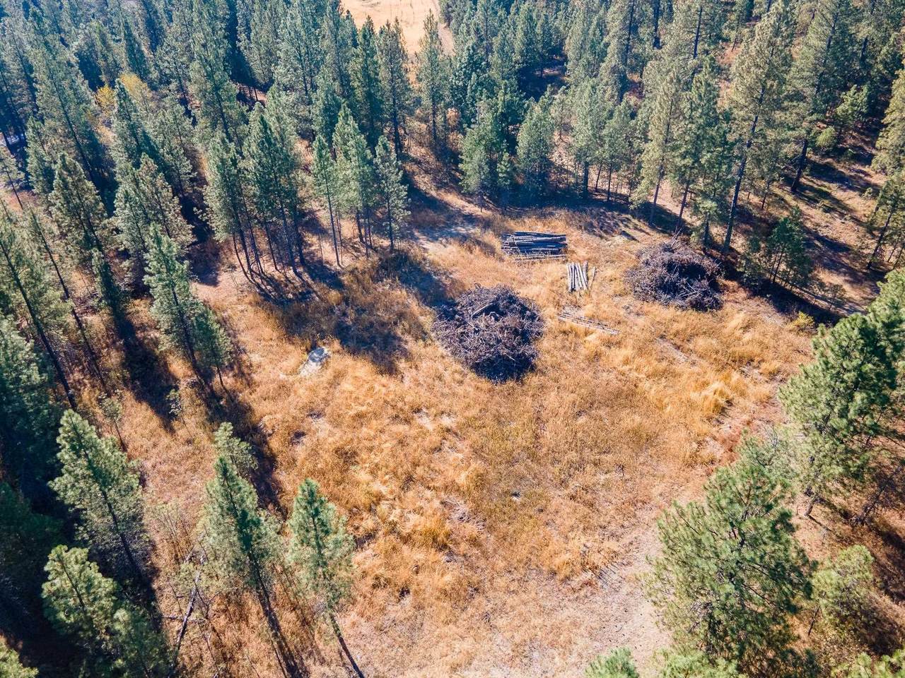 Lot 37-ANTLER RIDGE North Park Ln - Photo 1