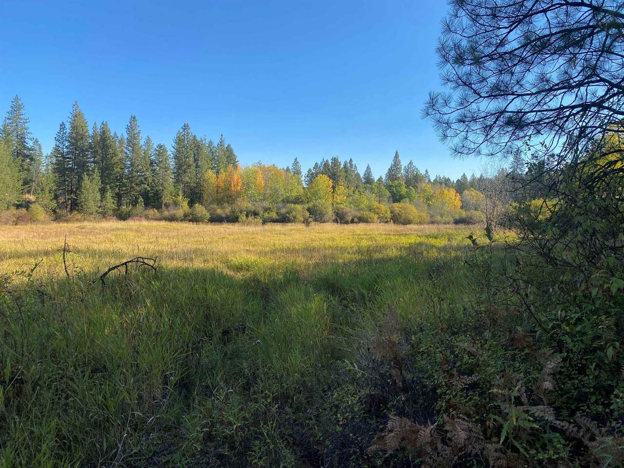 6149 Hwy 25 S Hwy - Photo 1