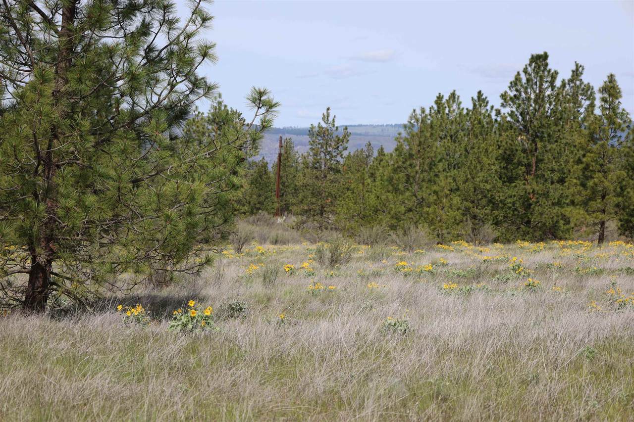 TBD-Lot 1 Spring Creek Rd - Photo 1