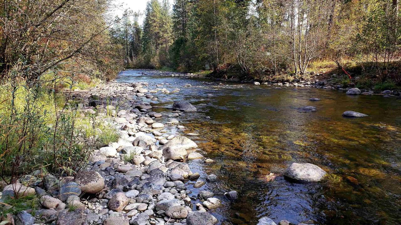 429X Hwy 25 Hwy - Photo 1