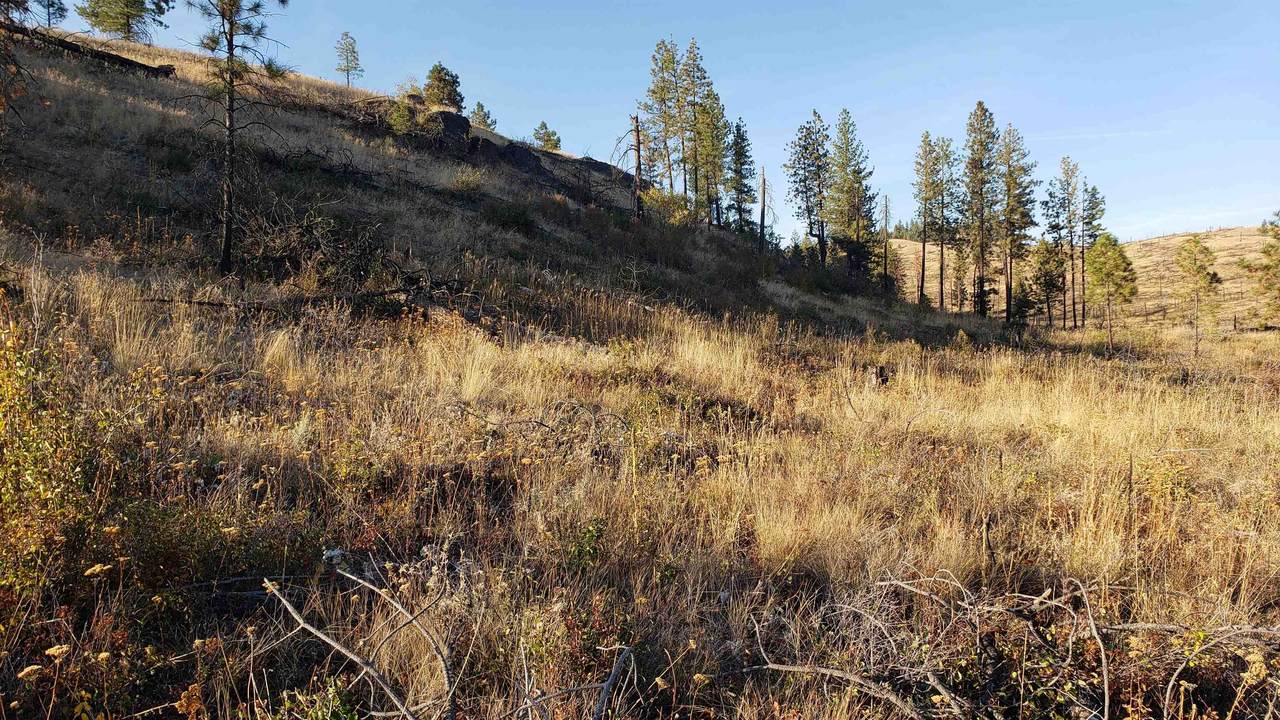 604x Carpenter Rd - Photo 1