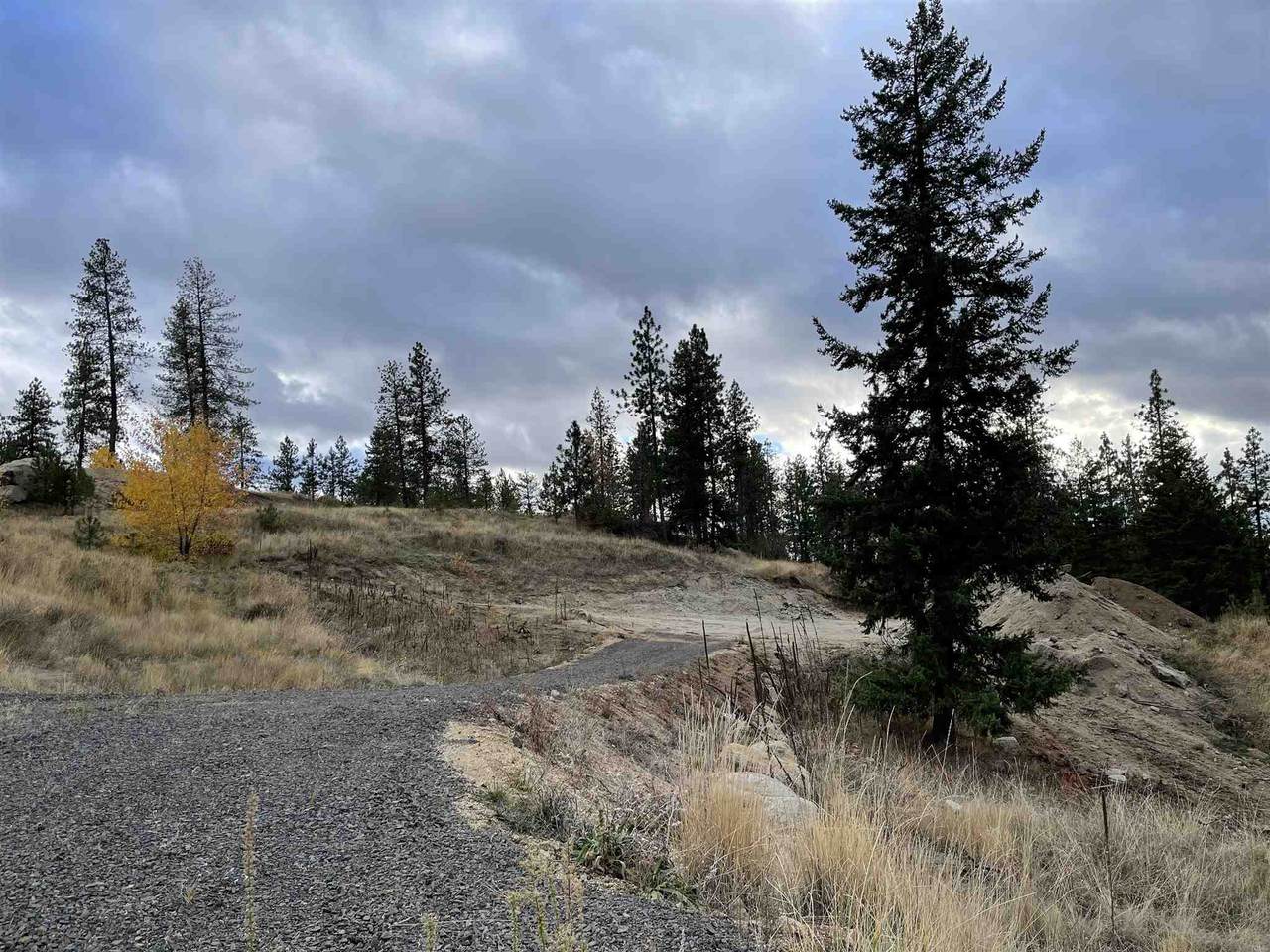 15223-Site #118A Cliff Ln - Photo 1