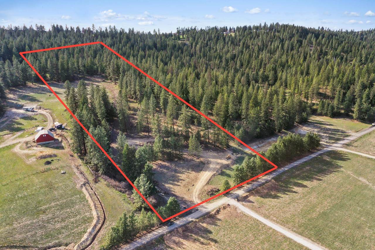 16317 Halliday Ln - Photo 1
