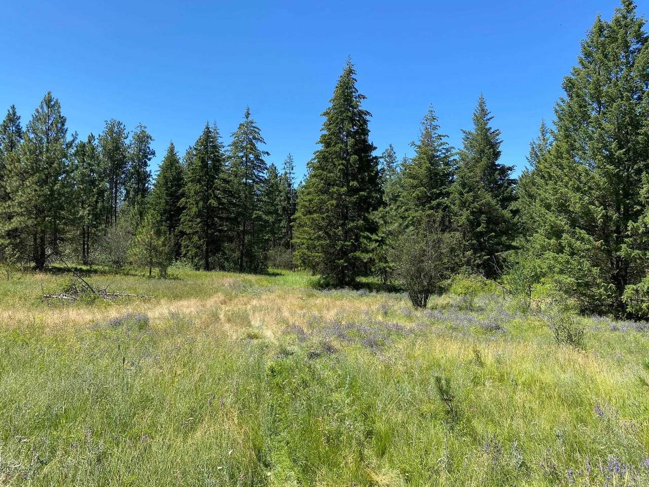 10502 Degray Ln - Photo 1