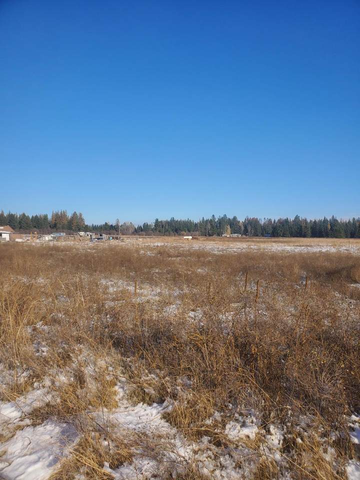 397XX Spotted Rd - Photo 1
