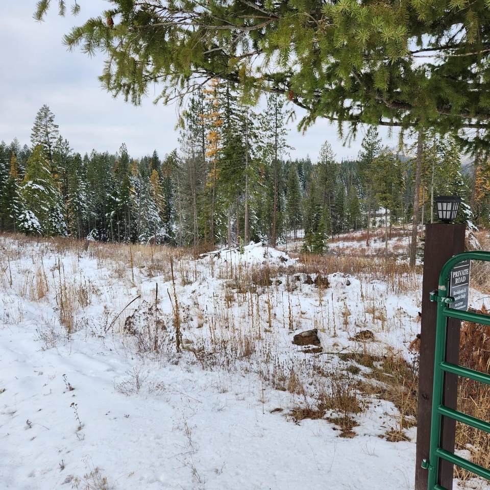 52xx Olinger Rd - Photo 1