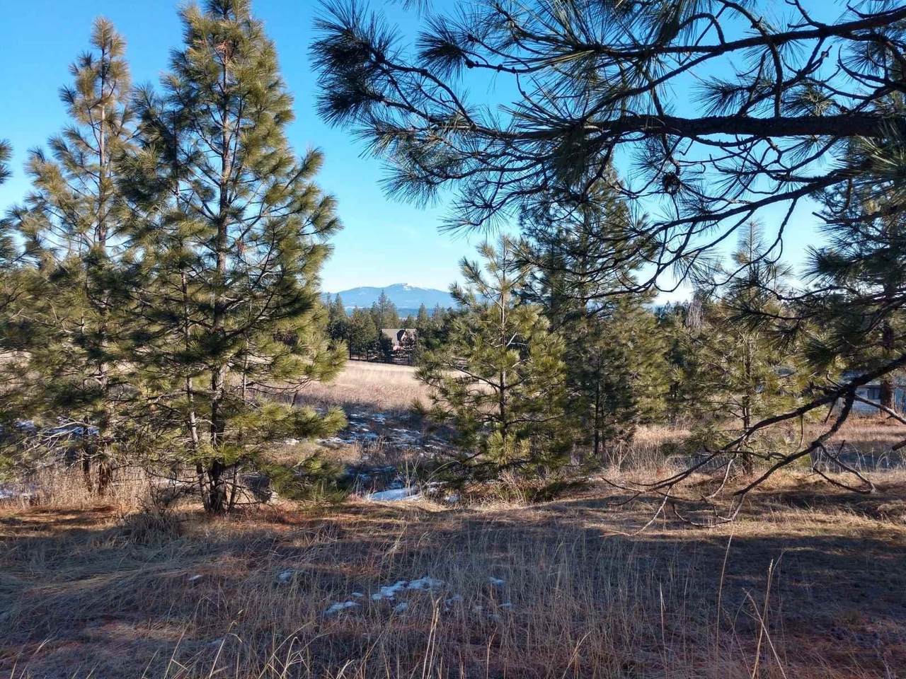0000 Woolard Rd - Photo 1