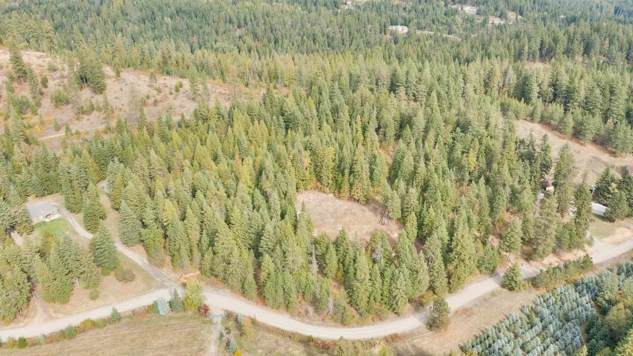 TBD Hauser Lake Branch Rd - Photo 1