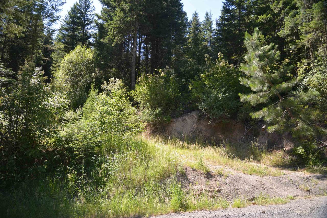 000 Star Rd - Photo 1