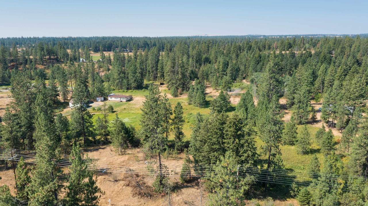 11709 Craig Rd - Photo 1