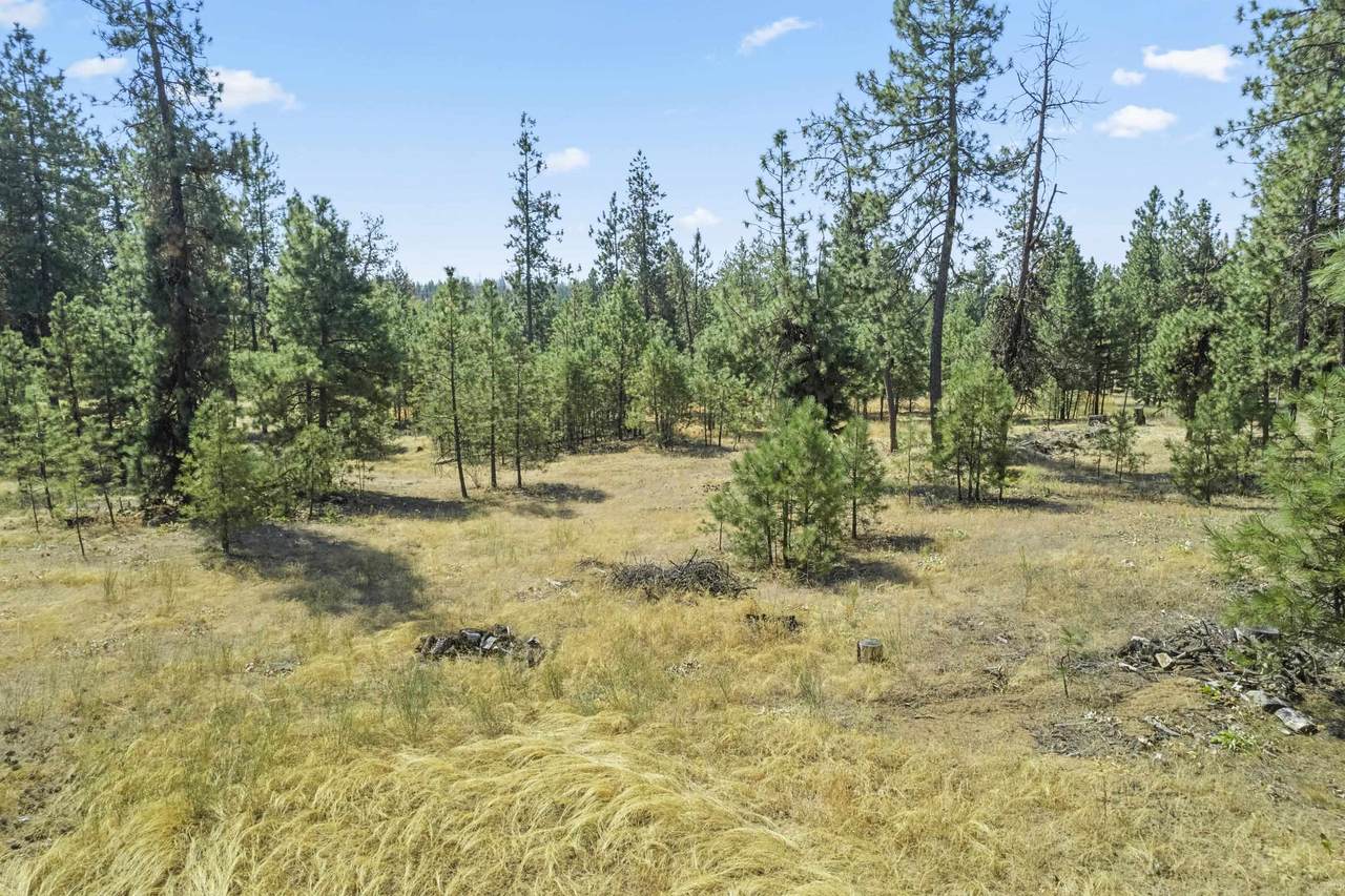 5523 Mckenzie Woolard Rd - Photo 1