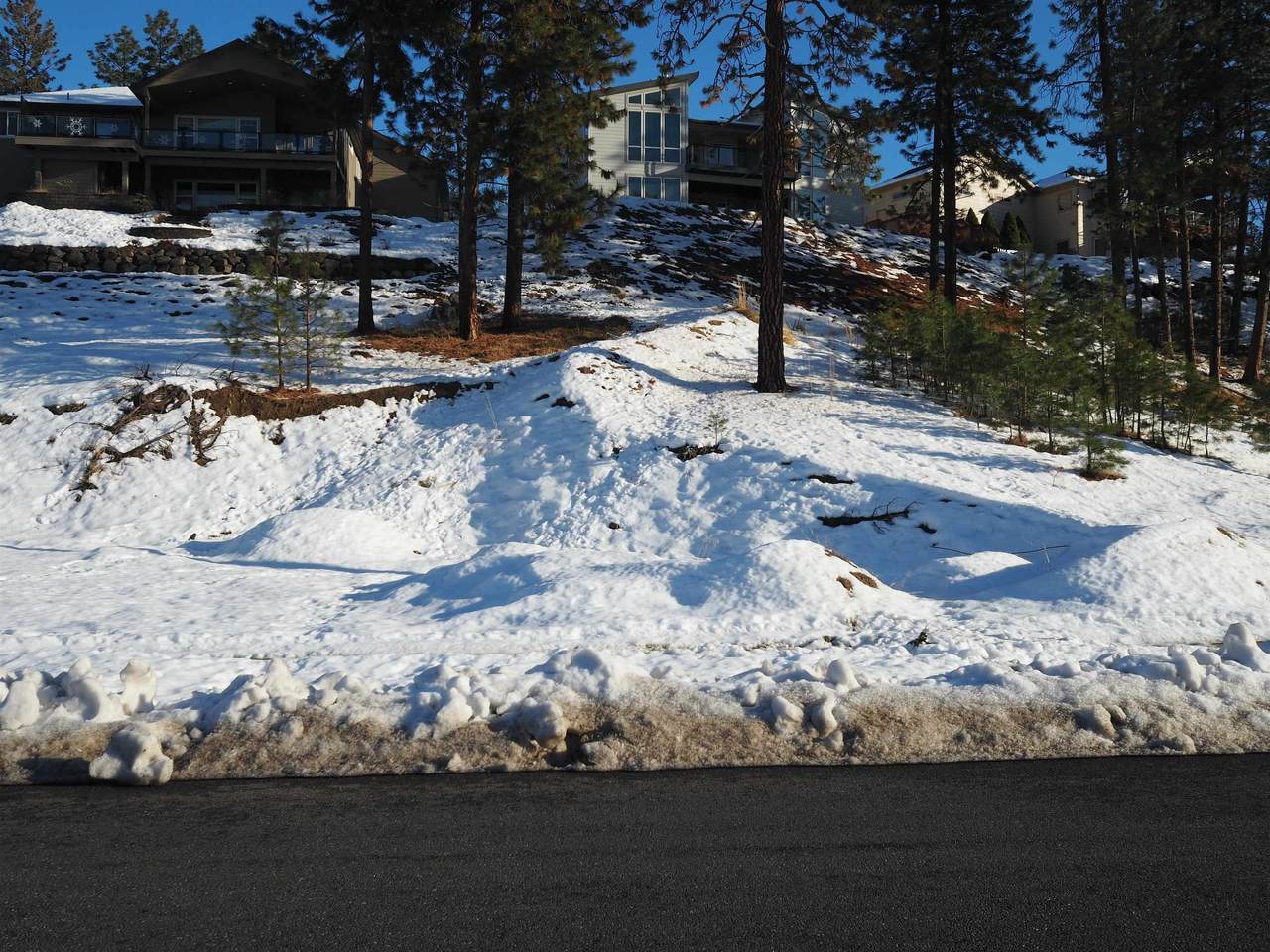 9406 Phoebe Dr - Photo 1