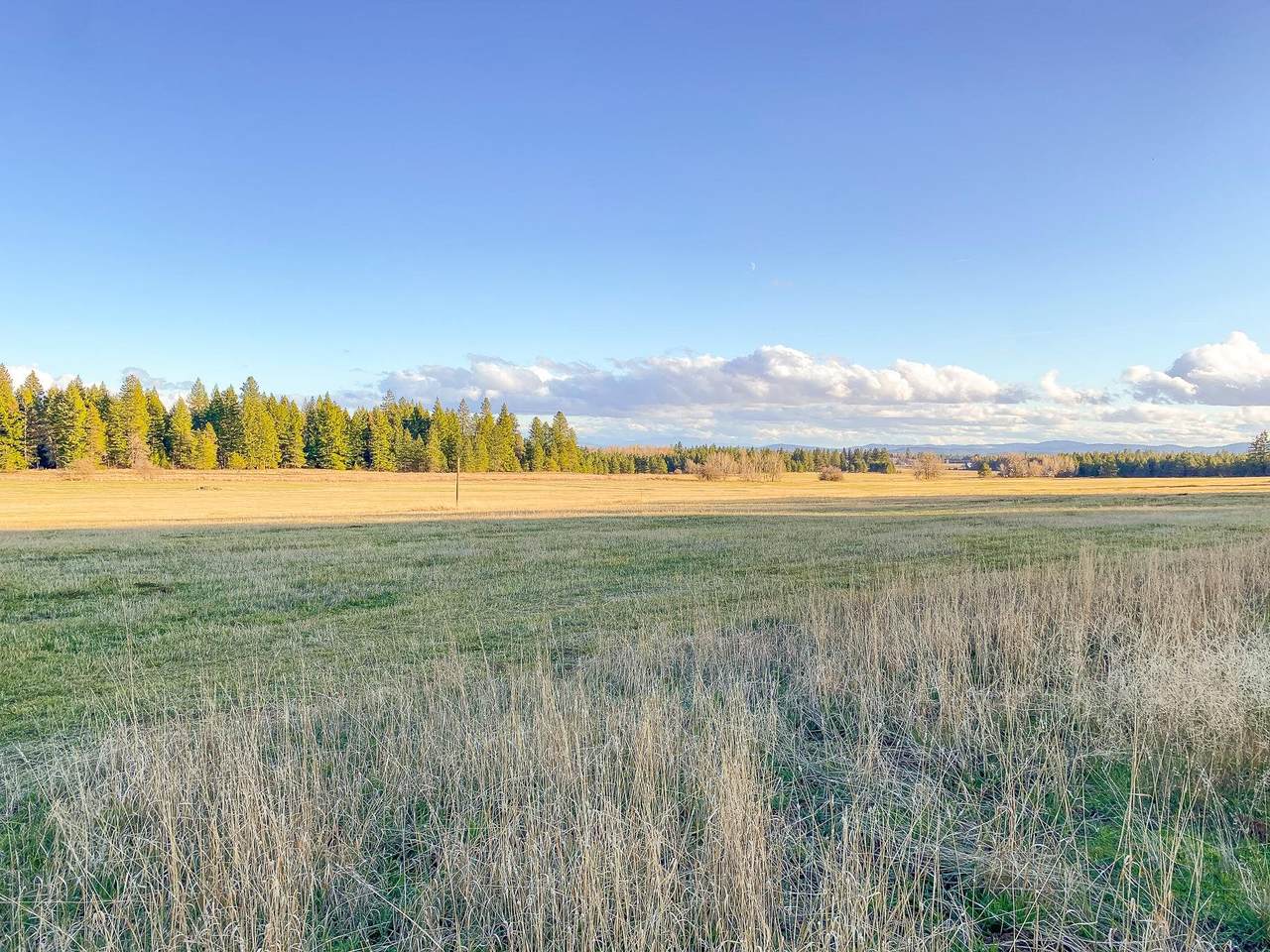 000x-Lot B Bellstar Rd - Photo 1