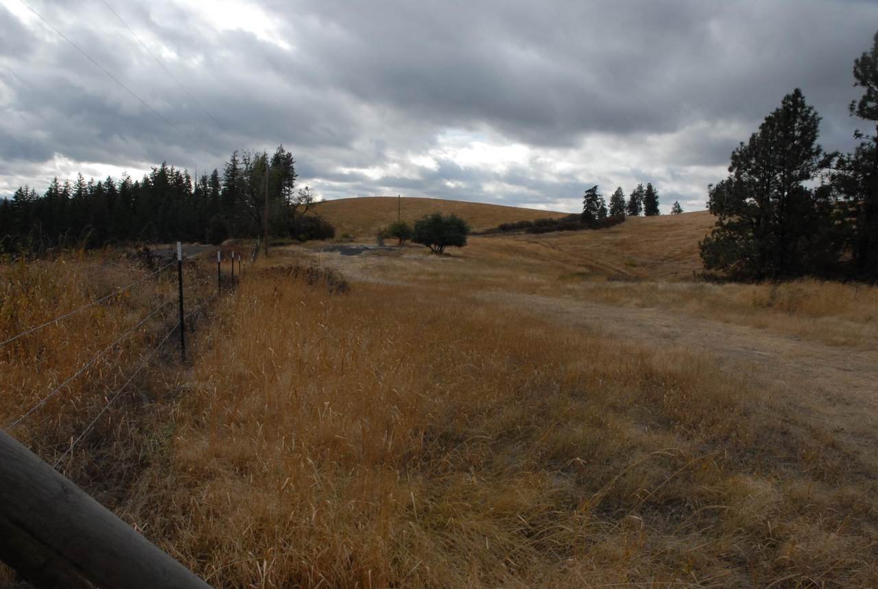 13507 Tallman Rd - Photo 1