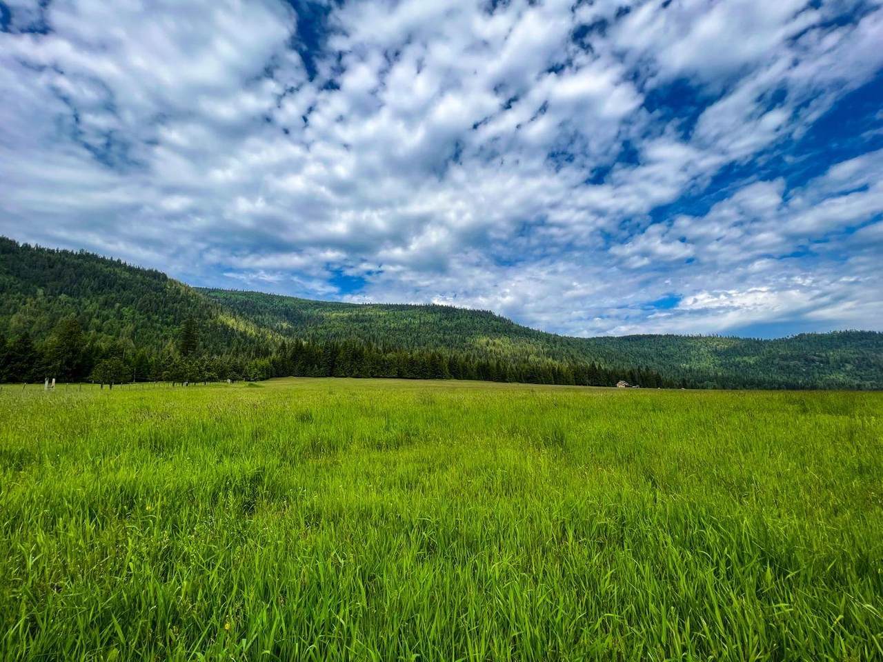 36XX Deep Lake Boundary Rd - Photo 1