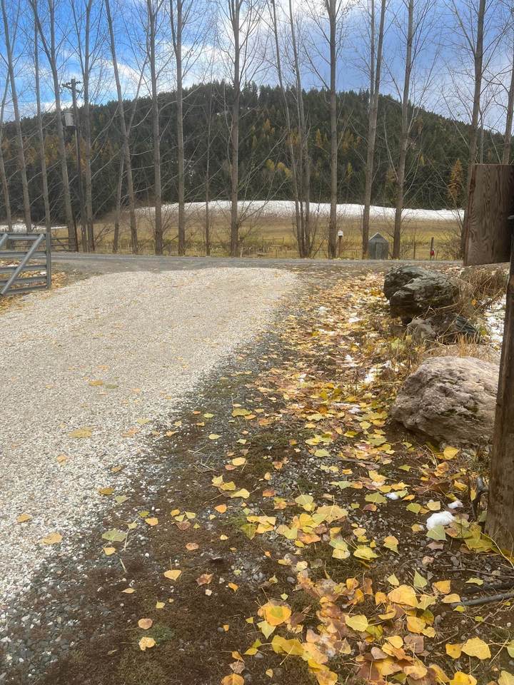 1922 Blue Creek Rd - Photo 1