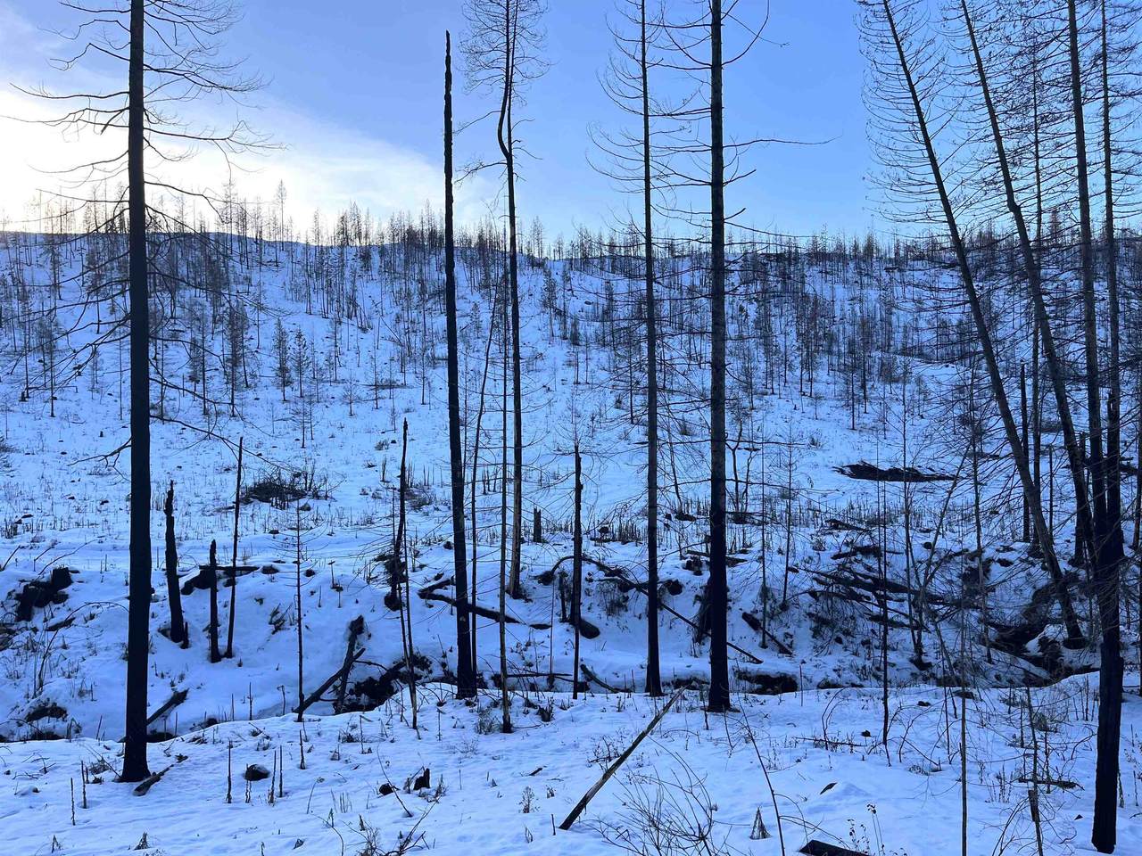 Lot 9 Rail Canyon Rd - Photo 1
