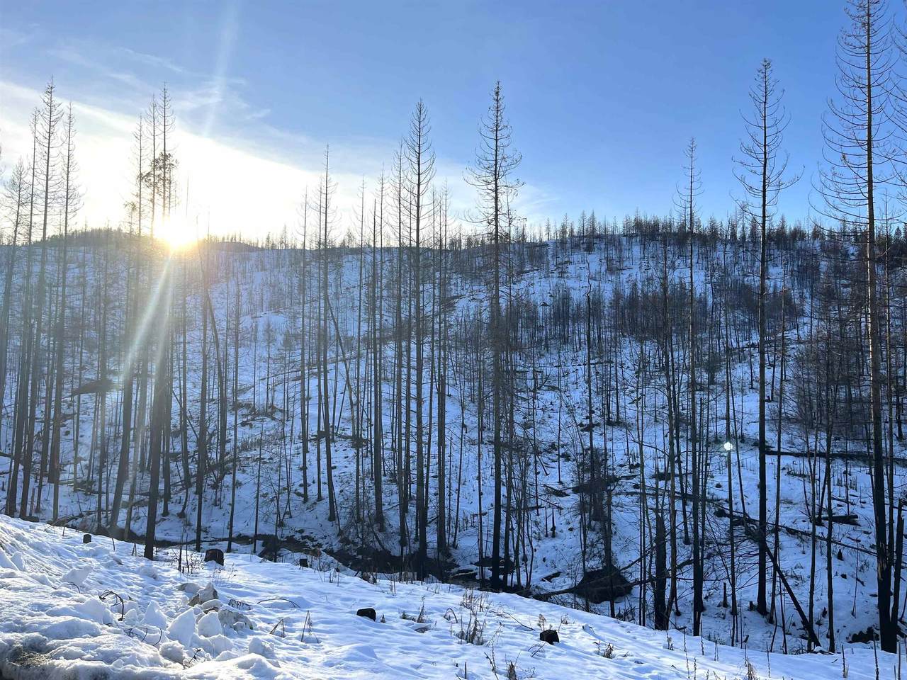 Lot 11 Rail Canyon Rd - Photo 1