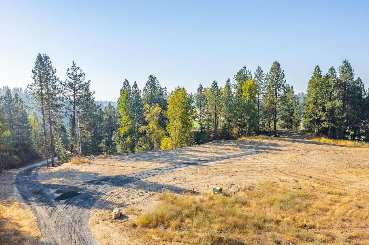 31908 Zander Ln - Photo 1