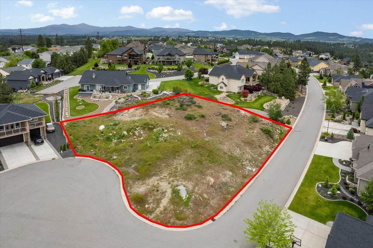 8321 Black Oak Ln - Photo 1