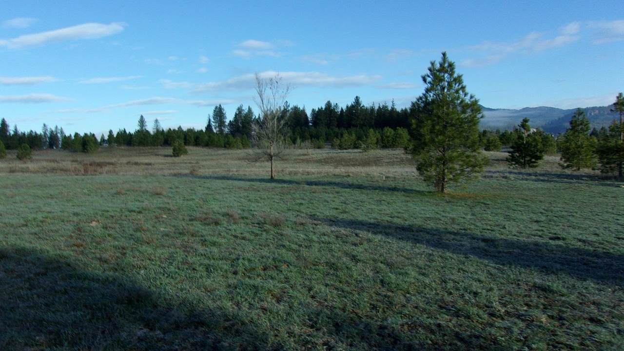 XXXX Huckleberry Dr - Photo 1