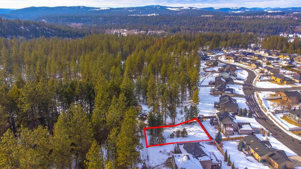 2903 Lane Park Rd - Photo 1
