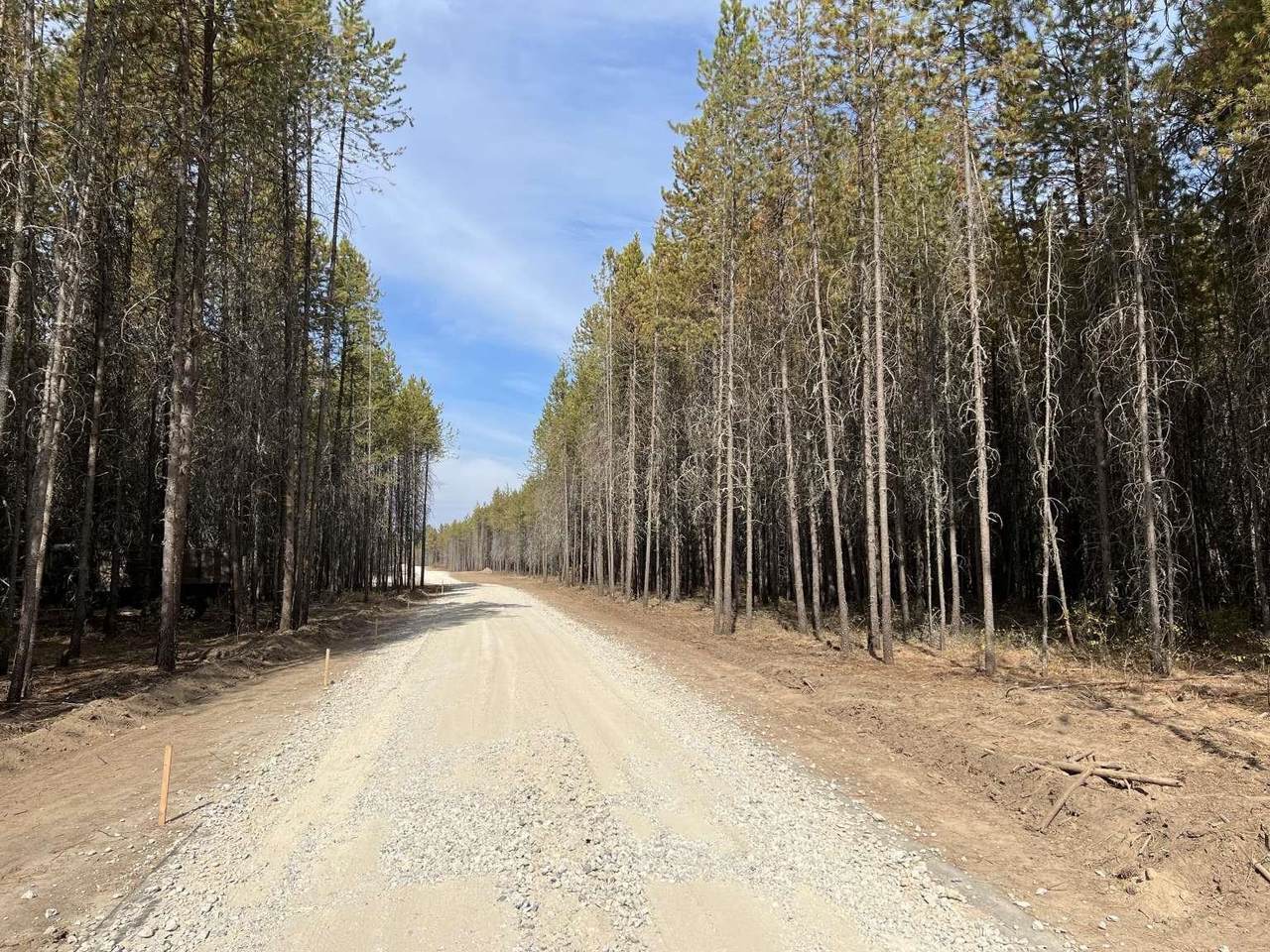 0000 Sr231 Hwy - Photo 1