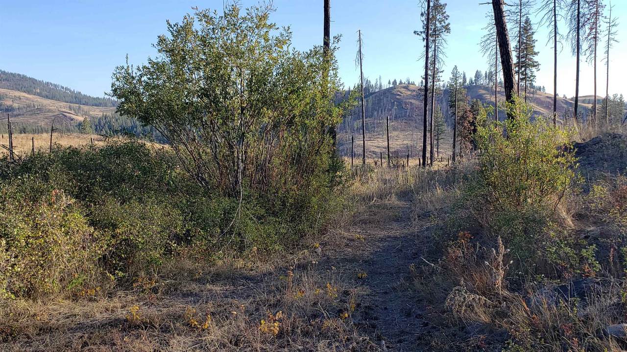 604X Carpenter Rd - Photo 1