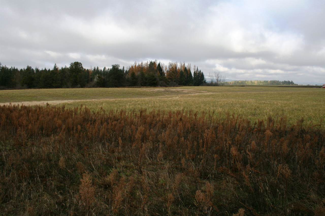 Lot 4 Mule Deer Ln - Photo 1