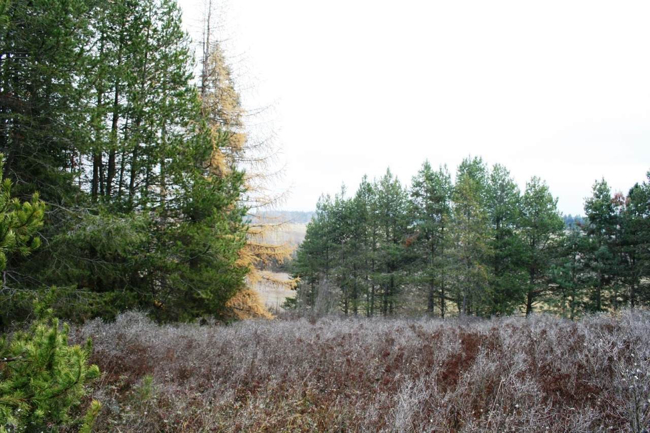 00 Dahl Lot 8 Rd - Photo 1