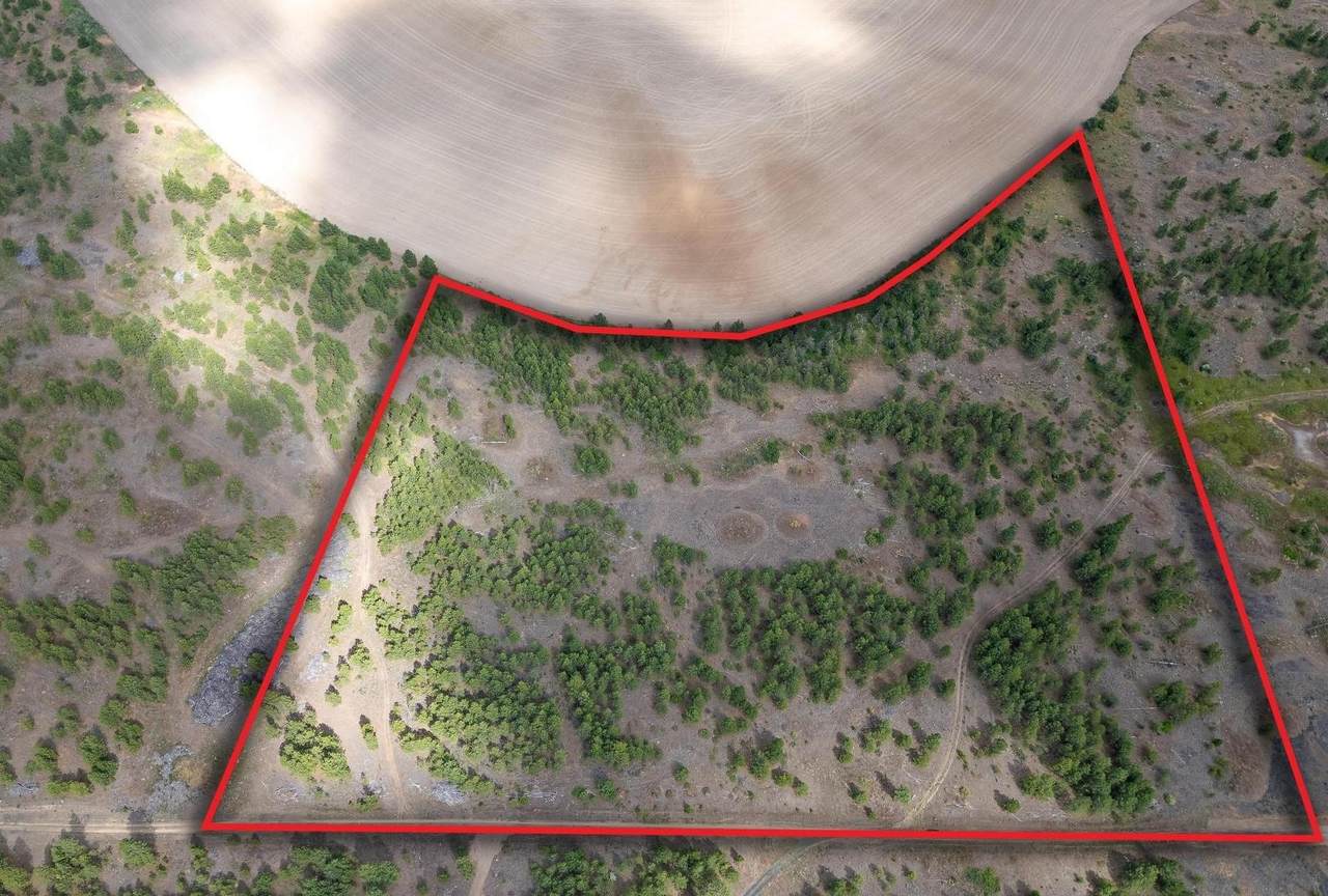 Lot 4 Prairie Ln - Photo 1