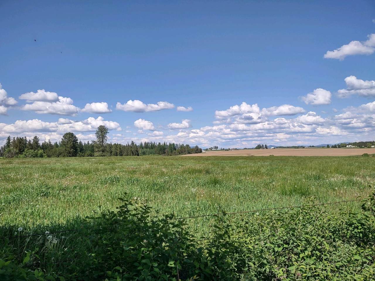 00 Dahl Lot 9 Rd - Photo 1