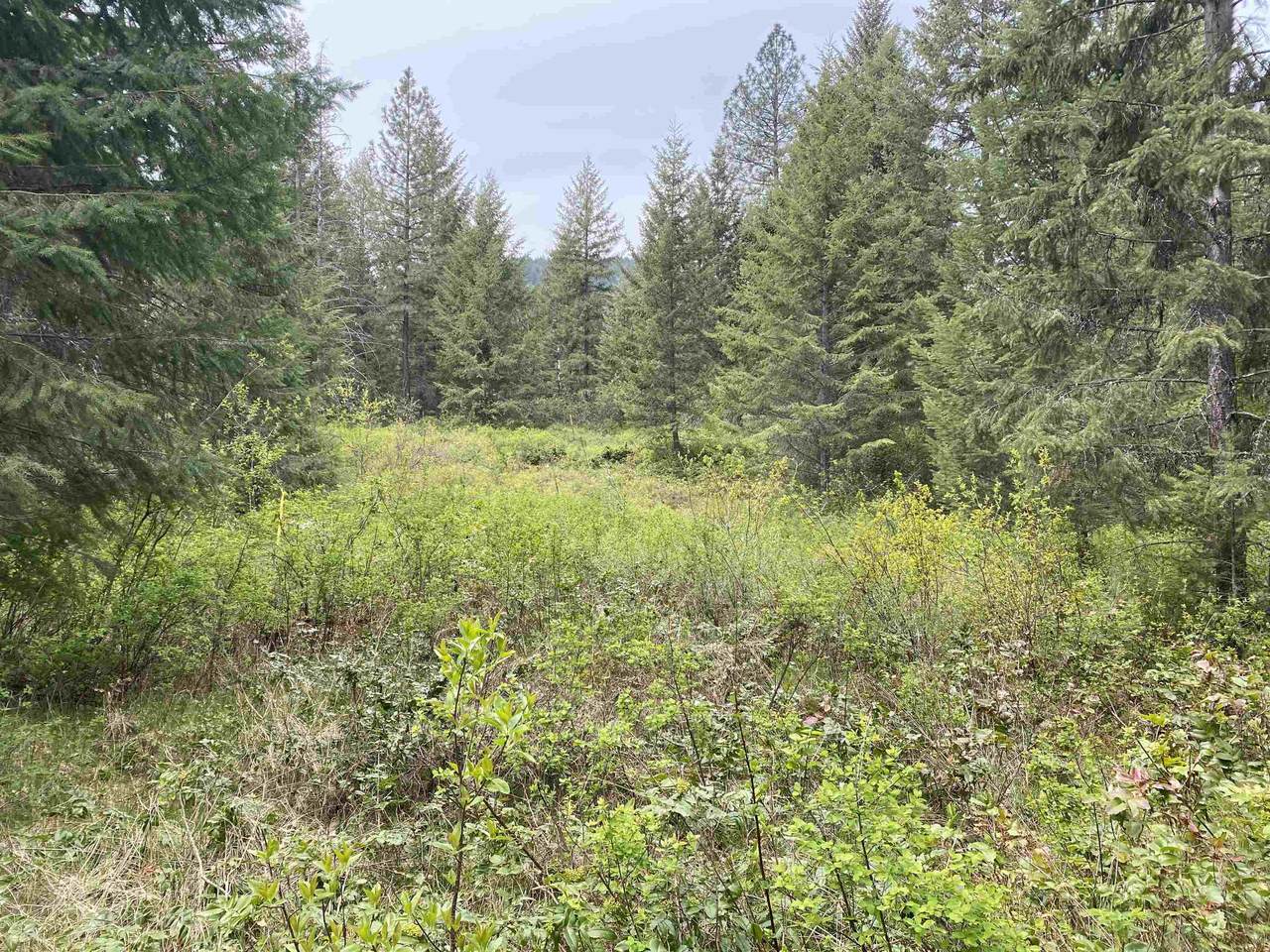 345X Lael Rd - Photo 1