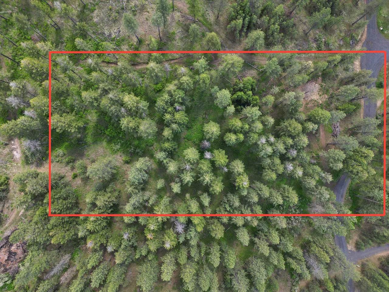 NKA-Lot 4 of Lot 1 Weaver Way - Photo 1