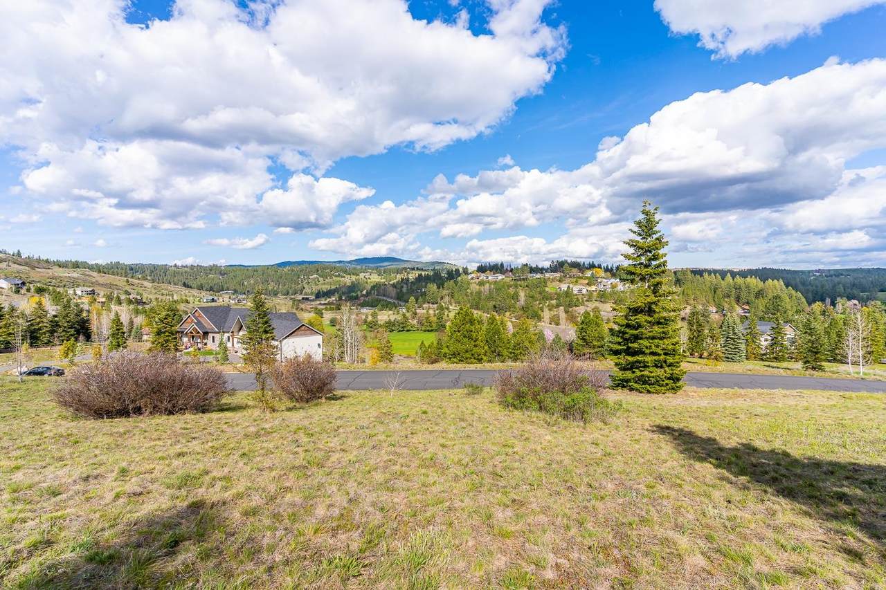 12112 Fairway Ridge Ln - Photo 1