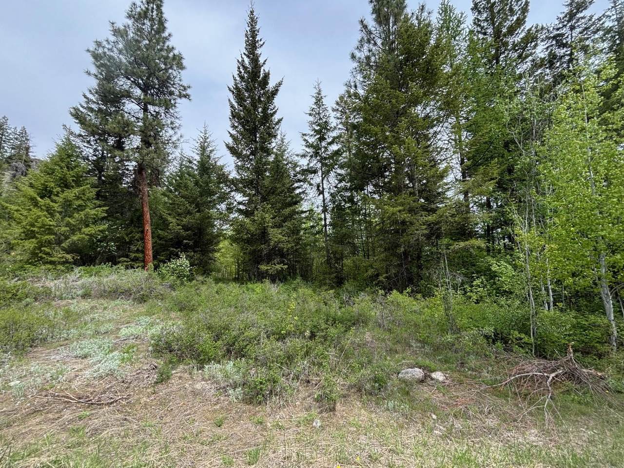 1xx-3629220014 Rocky Canyon Rd - Photo 1