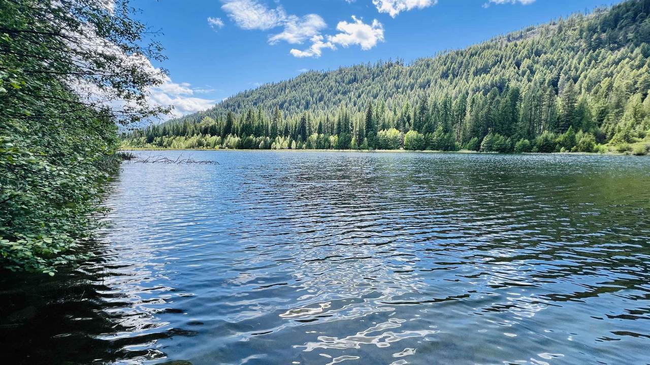 NKA Phalon Lake Rd - Photo 1