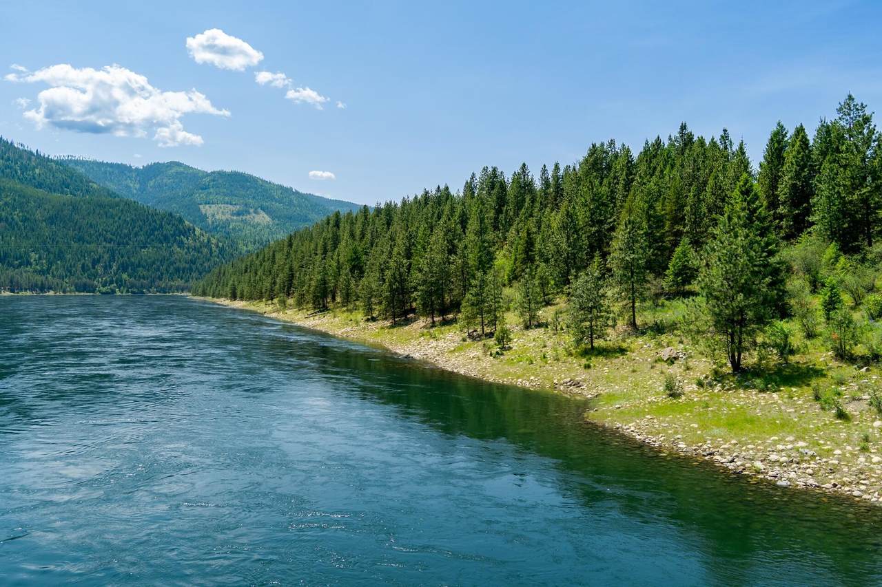 https://bt-photos.global.ssl.fastly.net/sarmls/1280_boomver_1_202523070-1.jpg