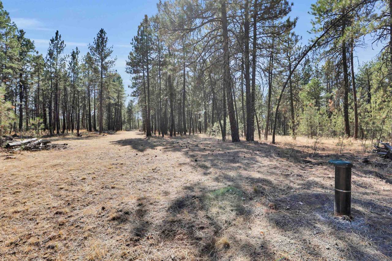 16619 Sherman Rd - Photo 1