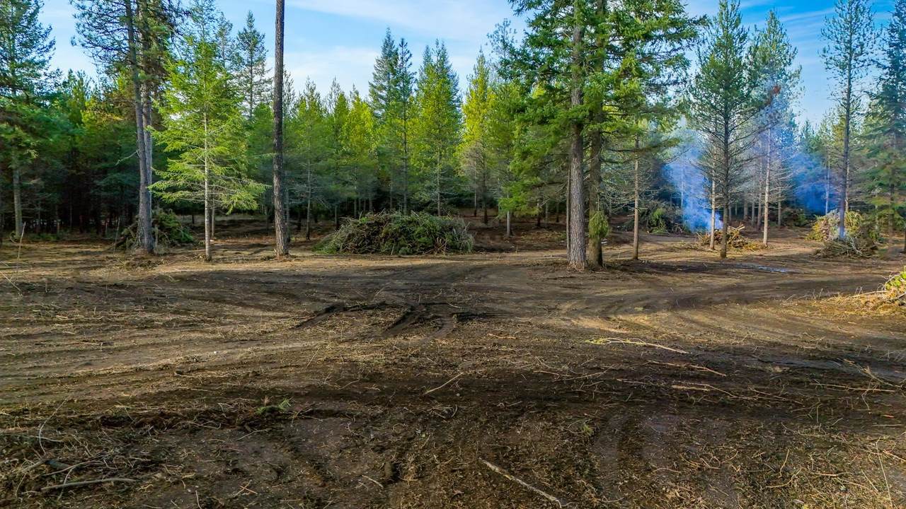 321 Glendale Dr - Photo 1