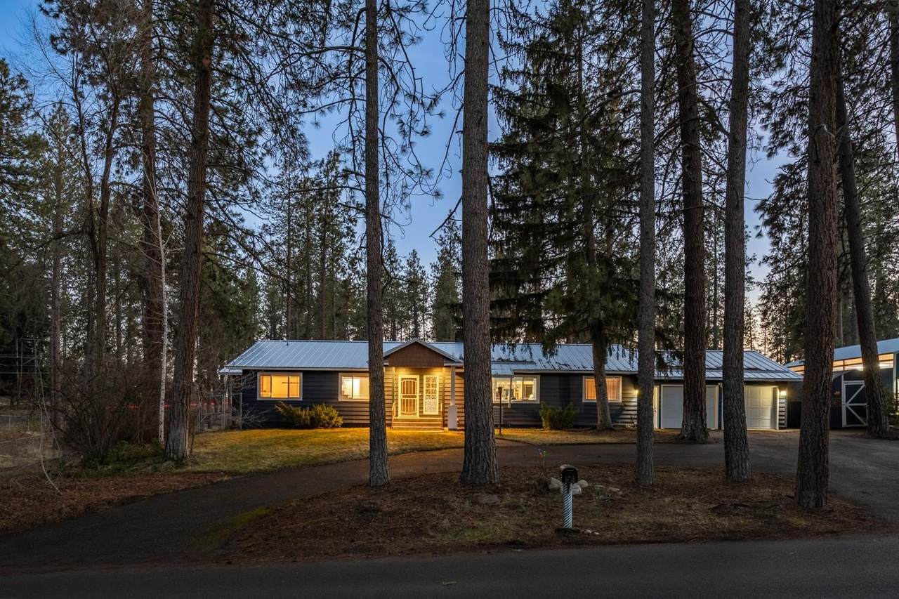 1415 Borden Rd - Photo 1