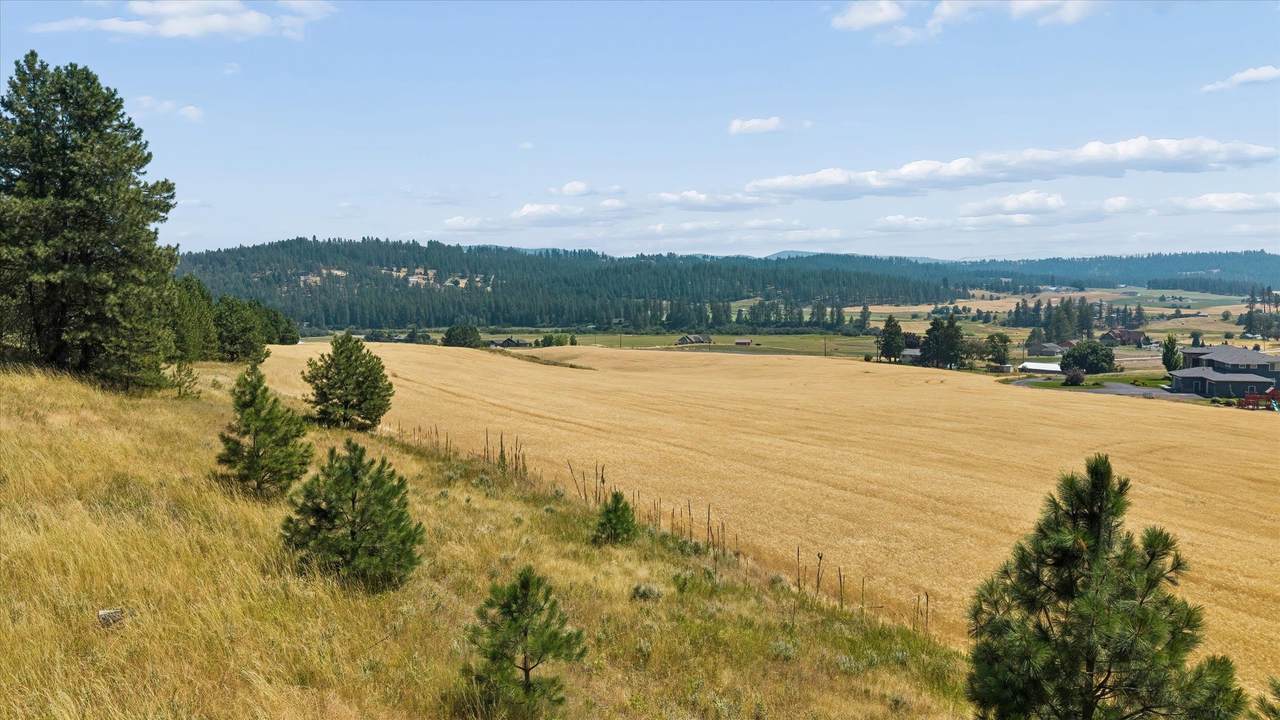 https://bt-photos.global.ssl.fastly.net/sarmls/1280_boomver_1_202621919-1.jpg