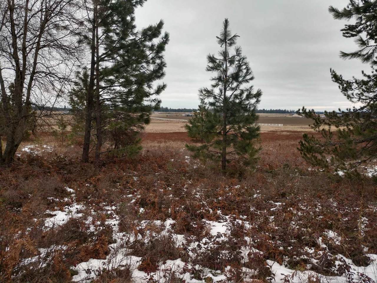 00 Spotted Rd - Photo 1