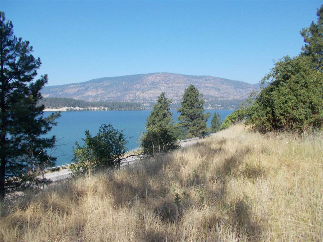 1199 Gold Edge Mine Rd - Photo 1