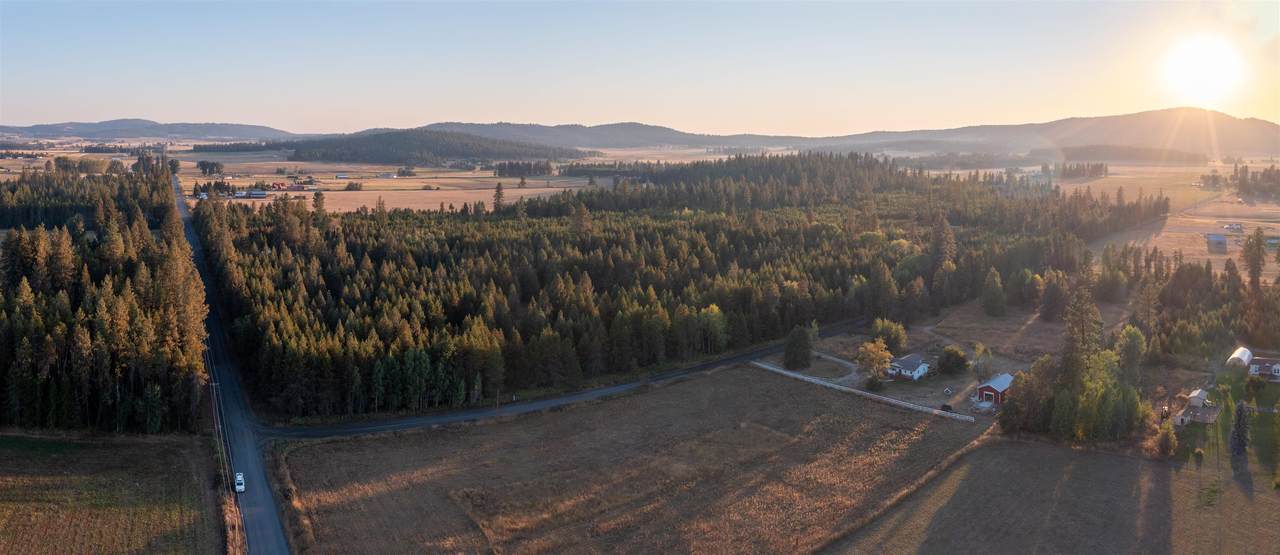 000-Lot 2 Owens Rd - Photo 1