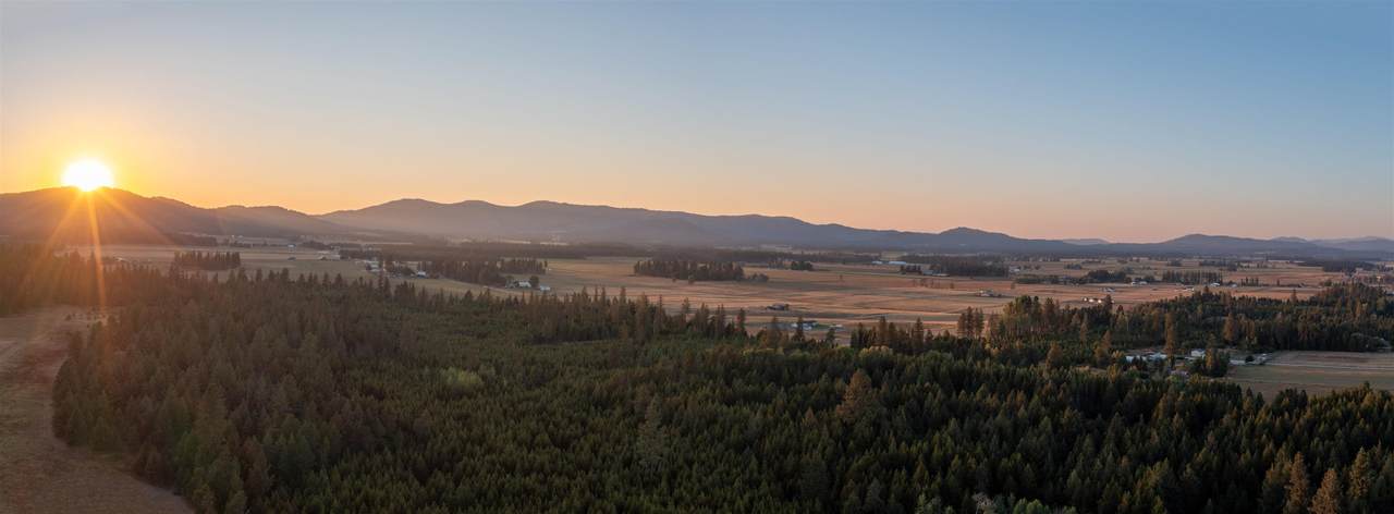 000-Lot 4 Spotted Rd - Photo 1