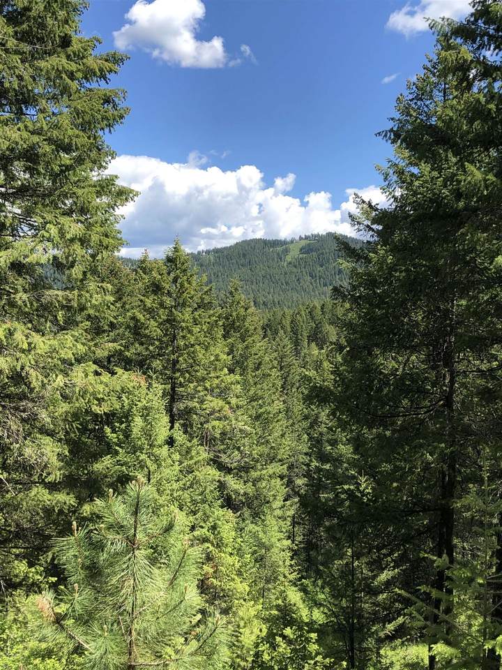 xxx Dry Creek Rd - Photo 1