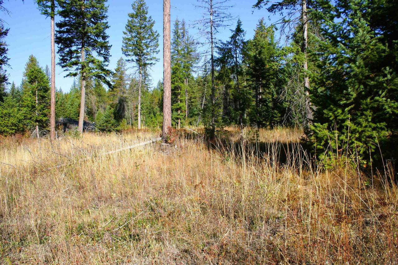X Deer Creek Rd - Photo 1